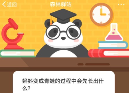 教你蝌蚪变成青蛙的过程中会先长出什么。