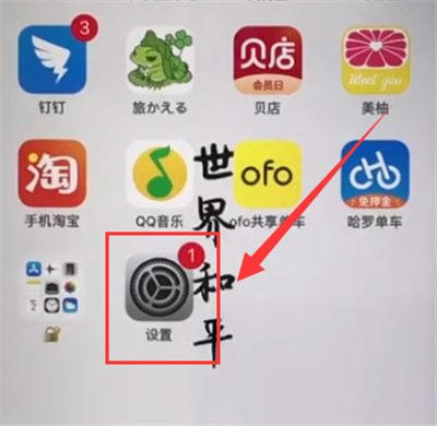 iphone6plus中开启振动的操作截图