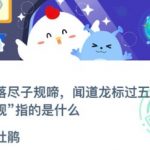 关于杨花落尽子规啼，闻道龙标过五溪中的子规指的是什么。