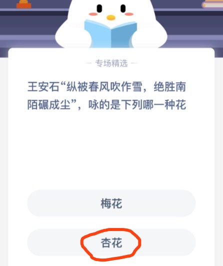王安石纵被春风吹作雪绝胜南陌碾成尘咏的是下列哪一种花？蚂蚁庄园11月06日答案最新
