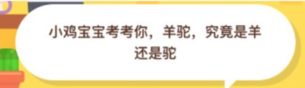 羊驼究竟是羊还是驼？支付宝小鸡庄园11月06日正确答案