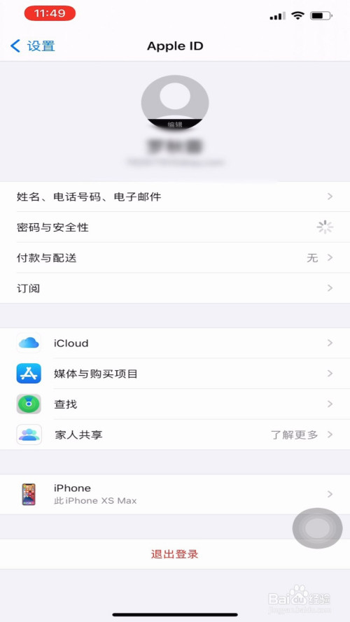 apple id密码忘了如何处理