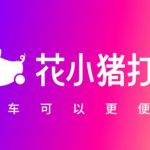 花小猪怎么重新定位。