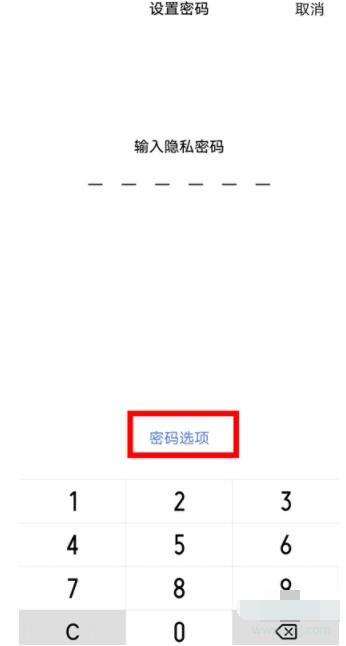 vivos9微信手势密码在哪里设 vivos9微信手势密码设置教程截图