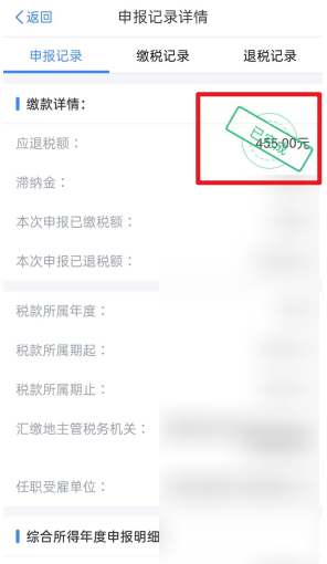个人所得税怎么看申报记录?个人所得税查看申报记录教程截图