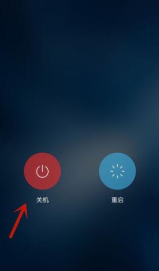 vivos9怎么强制关机 vivos9强制关机的方法截图