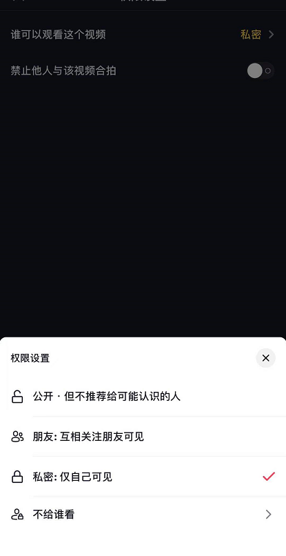 抖音怎么把作品设为私密 抖音把作品设为私密的方法截图