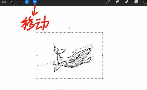 Procreate怎样调整局部大小?Procreate调整局部大小教程技巧截图