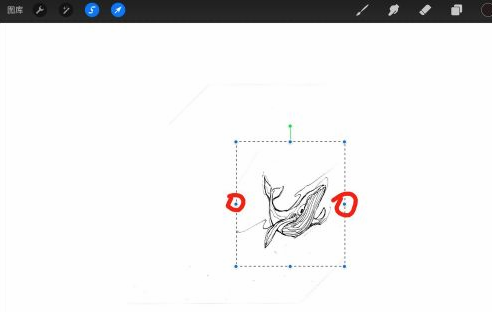 Procreate怎样调整局部大小?Procreate调整局部大小教程技巧截图