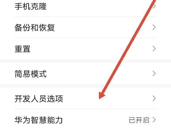 华为mate30如何开启开发者选项?华为mate30开发者选项开启教程截图
