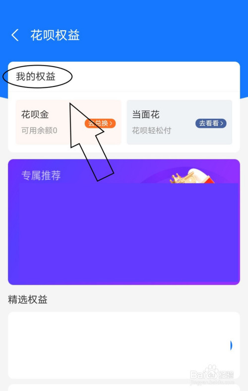 支付宝怎么查看我的花呗权益