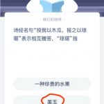 小编分享琼琚是什么意思。