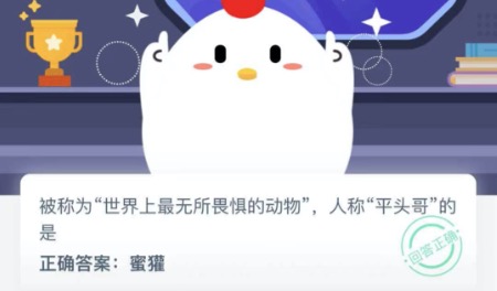 被称为世界上最无所畏惧的动物人称平头哥的是？蚂蚁庄园12月08日答案最新