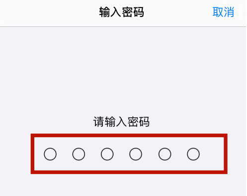 苹果12怎么删除输入法记忆 苹果12还原键盘词典方法截图