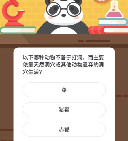 以下哪种动物不善于打洞，而主要依靠天然洞穴或其他动物遗弃的洞穴生活。