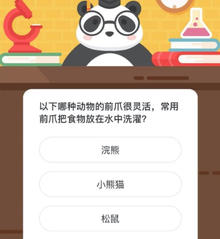 以下哪种动物的前爪很灵活，常用前爪把食物放在水中洗濯。