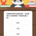 浣熊喜欢用双手感应物体，你知道是什么有效增强了手部感应能力吗。