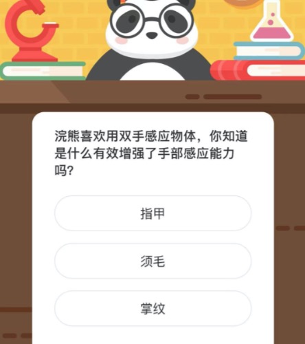 浣熊喜欢用双手感应物体，你知道是什么有效增强了手部感应能力吗。