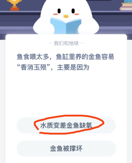 鱼食喂太多，鱼缸里养的金鱼容易“香消玉殒”主要是因为。