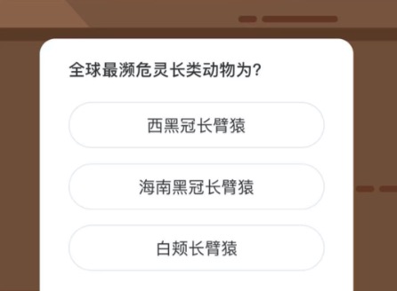 全球最濒危灵长类动物为。