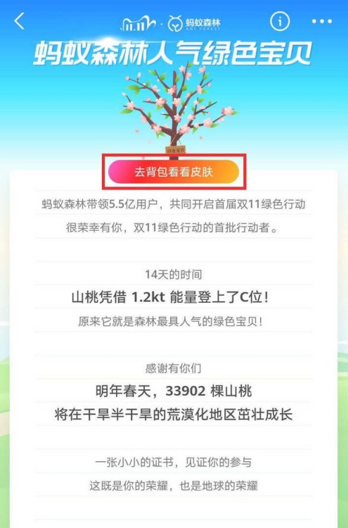 支付宝山桃皮肤怎么领取