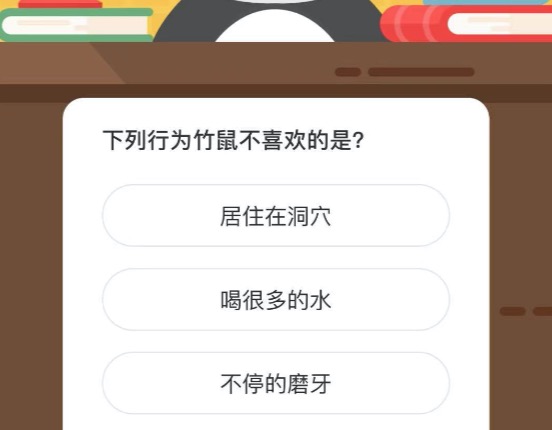 下列行为竹鼠不喜欢的是？微博森林驿站4月1日今日答题答案