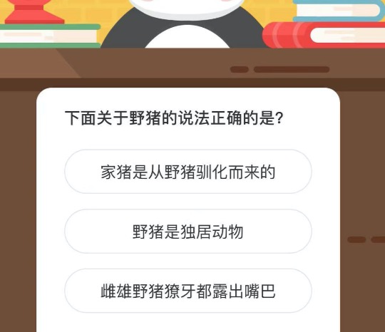 下面关于野猪的说法正确的是。