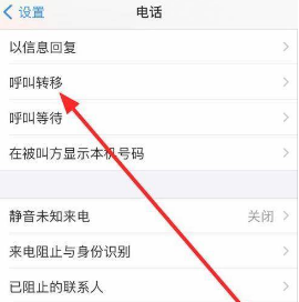 iphone12如何设置来电转移