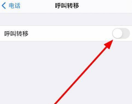 iphone12如何设置来电转移