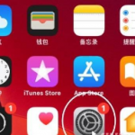 iphone12如何拦截骚扰电话。