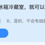 小鸡庄园答题5月13日最新答案。