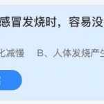 2021年7月26日蚂蚁庄园今日课堂答题。