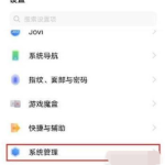 vivos10e语言如何设置。