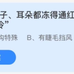 2021年10月28日蚂蚁庄园今日课堂答题。