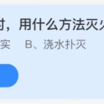 小鸡庄园答题11月9日最新答案。