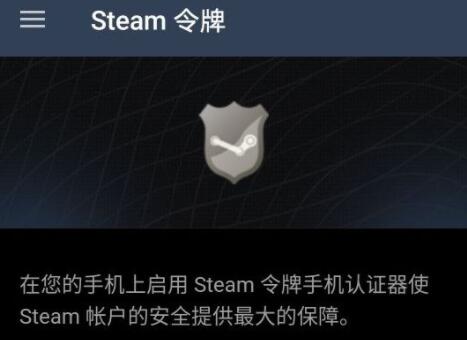 steam手机版看不了密保如何处理。