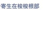 2021年11月23日蚂蚁庄园今日课堂答题。