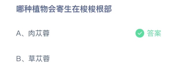 2021年11月23日蚂蚁庄园今日课堂答题