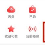 网易云音乐自己关注的电台怎么查询。