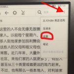 kindle翻页时的黑白闪怎么取消。