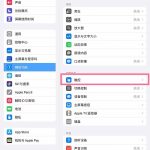 ipad返回键在哪里设置。