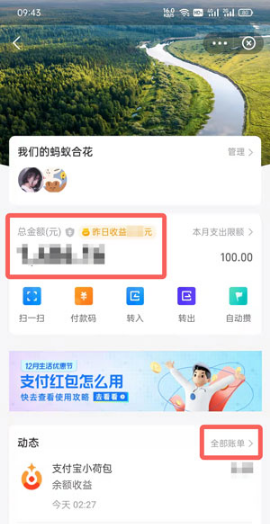 支付宝小荷包如何查看总收益