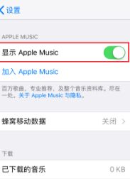 iphone锁屏显示音乐怎么取消