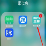 boss直聘企业招聘怎么操作。