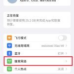 iphone如何重新设置主号副号标签。