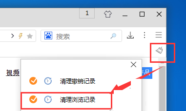 游隼浏览器清空历史记录的操作流程截图