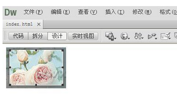 Dreamweaver编辑图片的基础操作截图