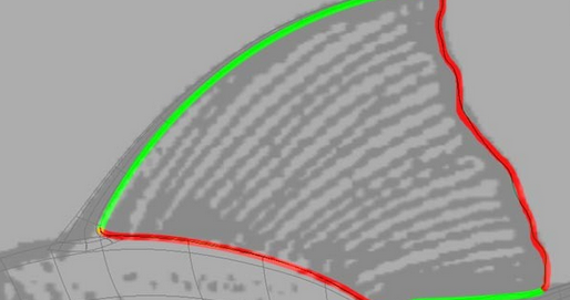 maya制作鱼模型的操作流程截图