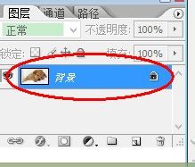 photoshop进行图像旋转的详细操作截图