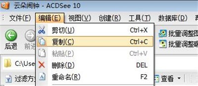 ACDSee里粘贴功能使用操作介绍截图